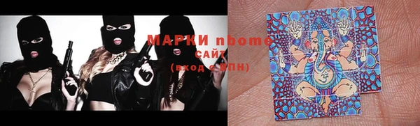 индика Арсеньев