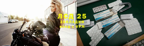 индика Арсеньев