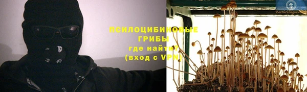 apvp Аркадак