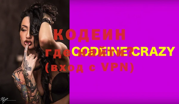 индика Арсеньев